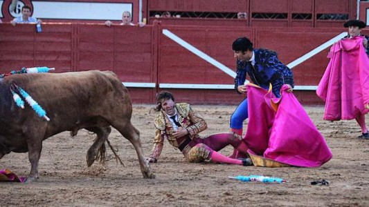 Fuerte video: un toro le arrancó parte del cuero cabelludo a un torero en medio de una corrida