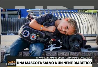 El perro que salvó a un nene de 7 años que sufre de diabetes