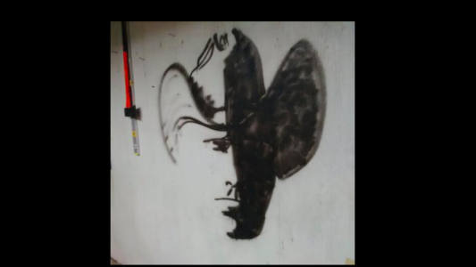 El nuevo desafío que enloquece a todos en las redes: ¿de qué color ves las zapatillas?