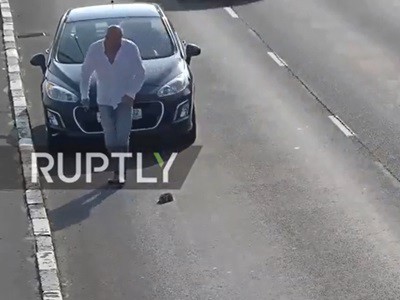 #EsViral El gatito salvado en medio de la autopista