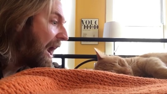 #EsViral Venganza contra el gato "despertador"