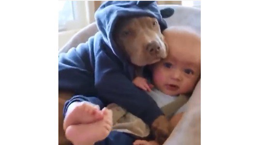 #EsViral el tierno abrazo del bebé con su perro