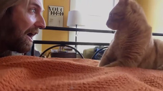 #EsViral la venganza contra el gato que no lo dejaba dormir