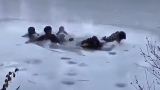 Se quisieron sacar una selfie y casi mueren congelados en el lago del Central Park