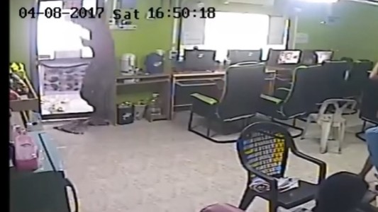 Video: abrió la puerta de un comercio y lo atacó una serpiente