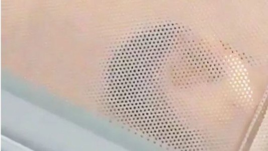 Indignación por una joven que metió a su cobaya en el microondas