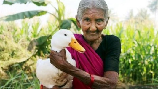 Fenómeno viral: las recetas de la cocinera india que tiene 106 años