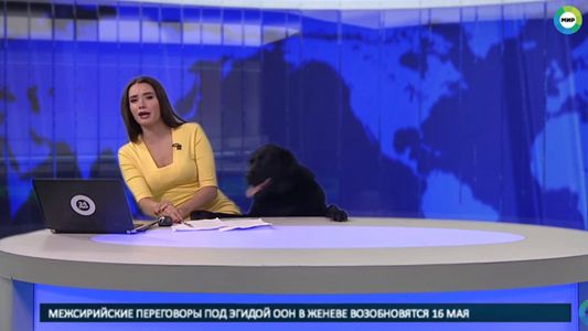 #EsViral Un invitado inesperado para la presentadora del noticiero