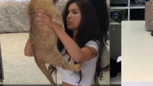 Una modelo rusa intentó recrear una escena de "El rey león" y se llevó una sorpresa