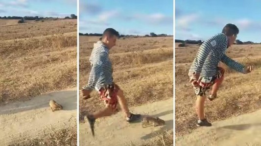 La policía española pide ayuda en las redes sociales para atrapar al hombre que pateó un conejo al grito de "Cristiano Ronaldo"