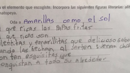 "Oh, qué ricas las papas fritas", el poema que escribió un nene para la escuela y explotó en las redes sociales
