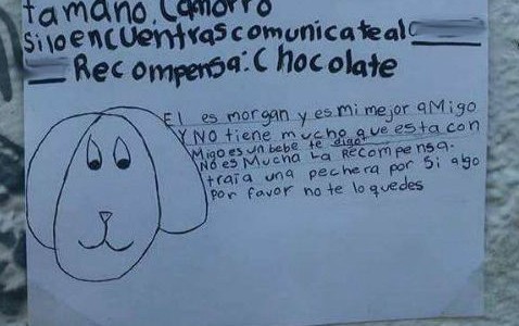 La nena que había perdido su perro y dibujó los carteles a mano para buscarlo