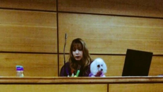 Una jueza de Chile dirigió una audiencia acompañada de su perro