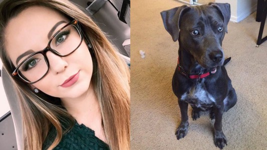 La brillante respuesta de un profesor a una estudiante que le pidió poder llevar a su perro a clase