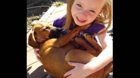 Viral tierno: la nena que acuna a su perro recién adoptado