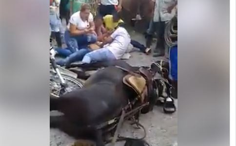 Indignación en las redes: nadie atiende a un caballo con las patas fracturadas