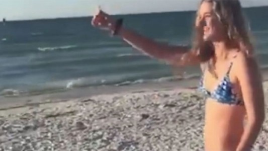 Quiso darle de comer a gaviota pero salió todo mal y el video estalló en las redes