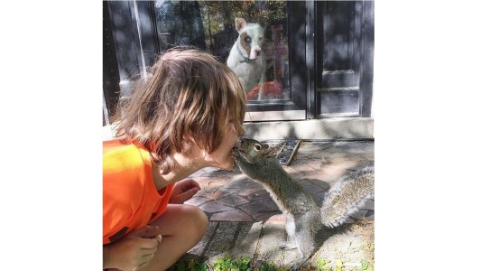 Una ardilla visita todos los días a la familia que le salvó la vida