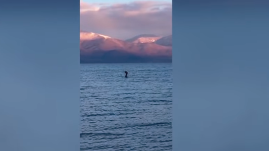 Fuertes imágenes: un acróbata colombiano cayó al vacío en pleno show y sobrevivió