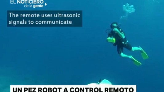 Los 6 videos de este martes de otoño