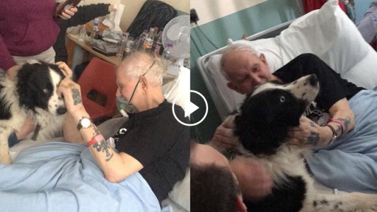 Video pura emoción: el anciano que se reencontró con su perro antes de morir en el hospital