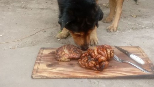 Su perro cumplió 15 años y un santafecino le hizo un asado para festejarlo