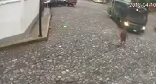 Fuerte video: la atropella un colectivo, se levanta y sigue caminando como si nada