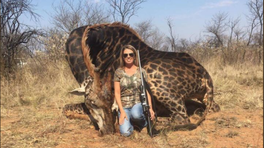 Indignación mundial por una mujer que cazó una jirafa negra y lo publicó en las redes sociales
