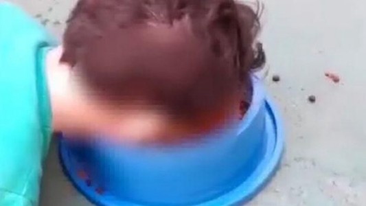 Video: denunciaron a una mujer por obligar a su hijo discapacitado a comer alimento para perros