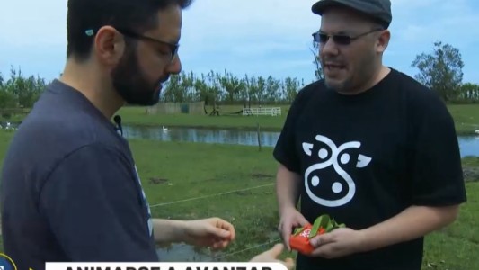 Animarse a avanzar: el hombre que chatea con las vacas