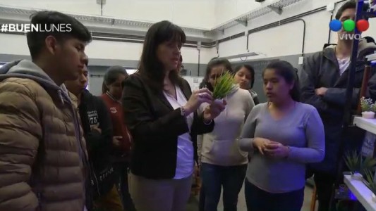 #LaCunadelosSueños Frutas frescas para la Antártida