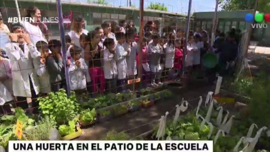 #LaCunaDeLosSueños Una huerta en el patio de la escuela