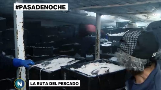"Pasa de Noche": la ruta del pescado en el Puerto de Mar del Plata