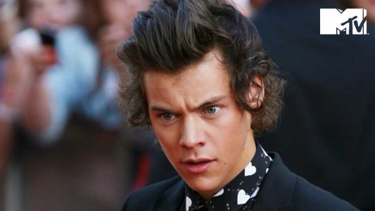Harry Styles fue víctima de acoso sexual durante un show