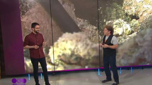 Rotemberg interpreta las noticias "tecno"