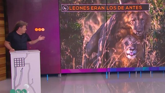 Las noticias de Rotemberg