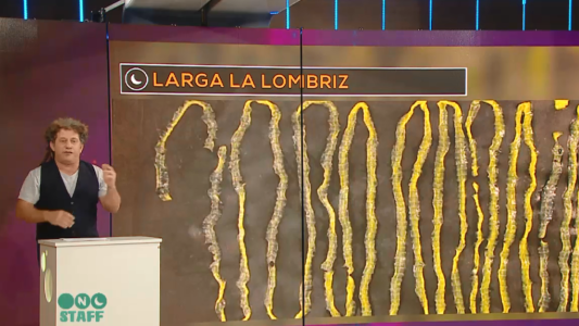 Le extrajeron de su intestino un parásito de más de dos metros de largo