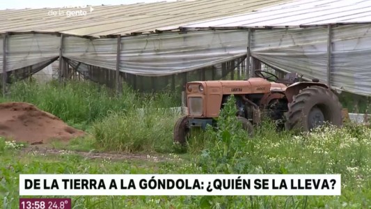 De la góndola a la tierra: ¿quién se la lleva?