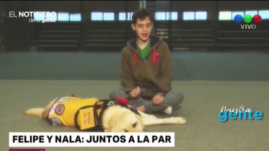 Nala: los ojos de Felipe