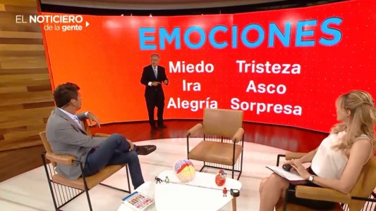 Cerebro que piensa vs. cerebro que siente