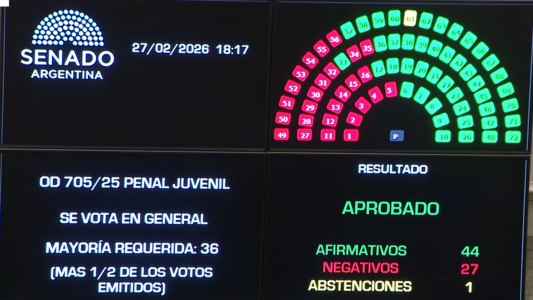 El Senado aprobó la baja de la edad de imputabilidad a 14 años
