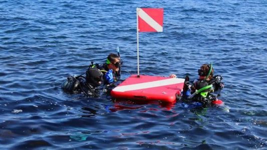 Desaparición de Sofía Devries: evalúan posible falta a los deberes de cuidado