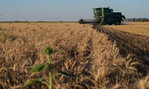 Exportadores respaldaron la baja de retenciones anunciada por el Gobierno