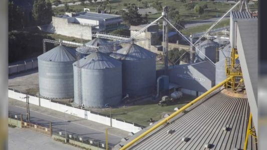 Cerealeras y aceiteros celebraron la reforma laboral y dijeron que creará empleo