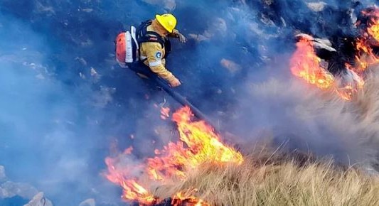 En medio de los incendios, el Gobierno destina más de $100 mil millones a Bomberos Voluntarios