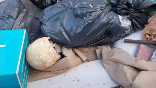 Un macabro hallazgo causó estupor en Playa Grande en pleno inicio de la temporada de Mar del Plata