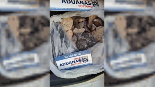 Llevaba 18 fósiles en el baúl: intentaron pasar los restos a Chile y los detuvo la Aduana
