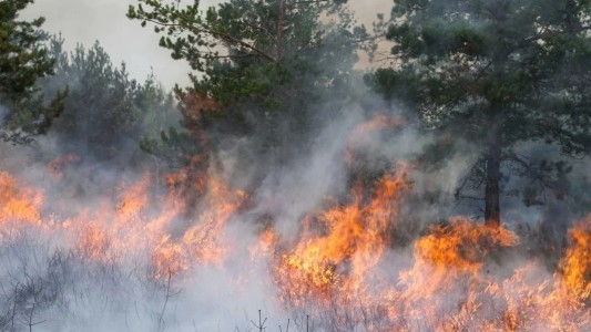 El Ministerio de Seguridad dijo que identificará y juzgara a los responsables de los incendios