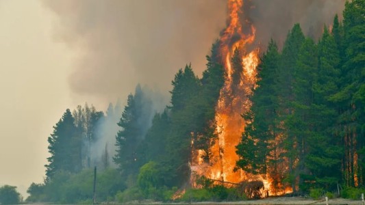 Incendios: el Gobierno estudia prorrogar por decreto la ley de Emergencia Ígnea