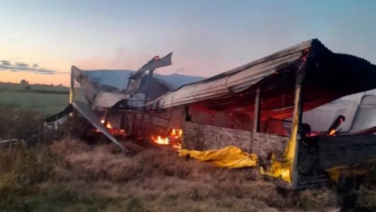 Murieron 500 cerdos en el incendio de un criadero en Entre Ríos